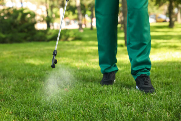 Best Flea Control Services  in Jackson, MS