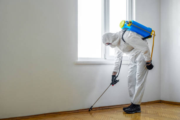 Wildlife Control Services in Jackson, MS
