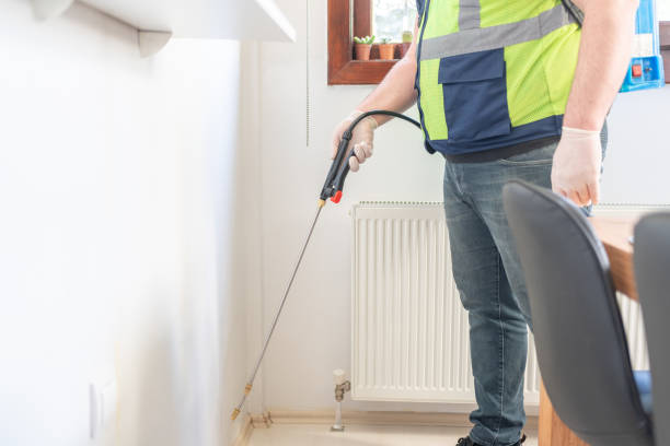 Best Termite Control Services  in Jackson, MS