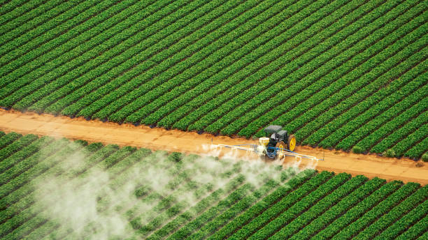 Best Mosquito Control Services  in Jackson, MS