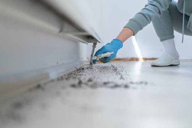 Best Best Pest Control Companies  in Jackson, MS