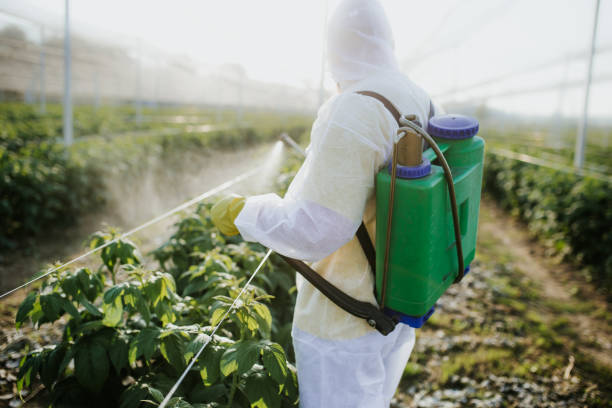 Best Pest Prevention Services  in Jackson, MS